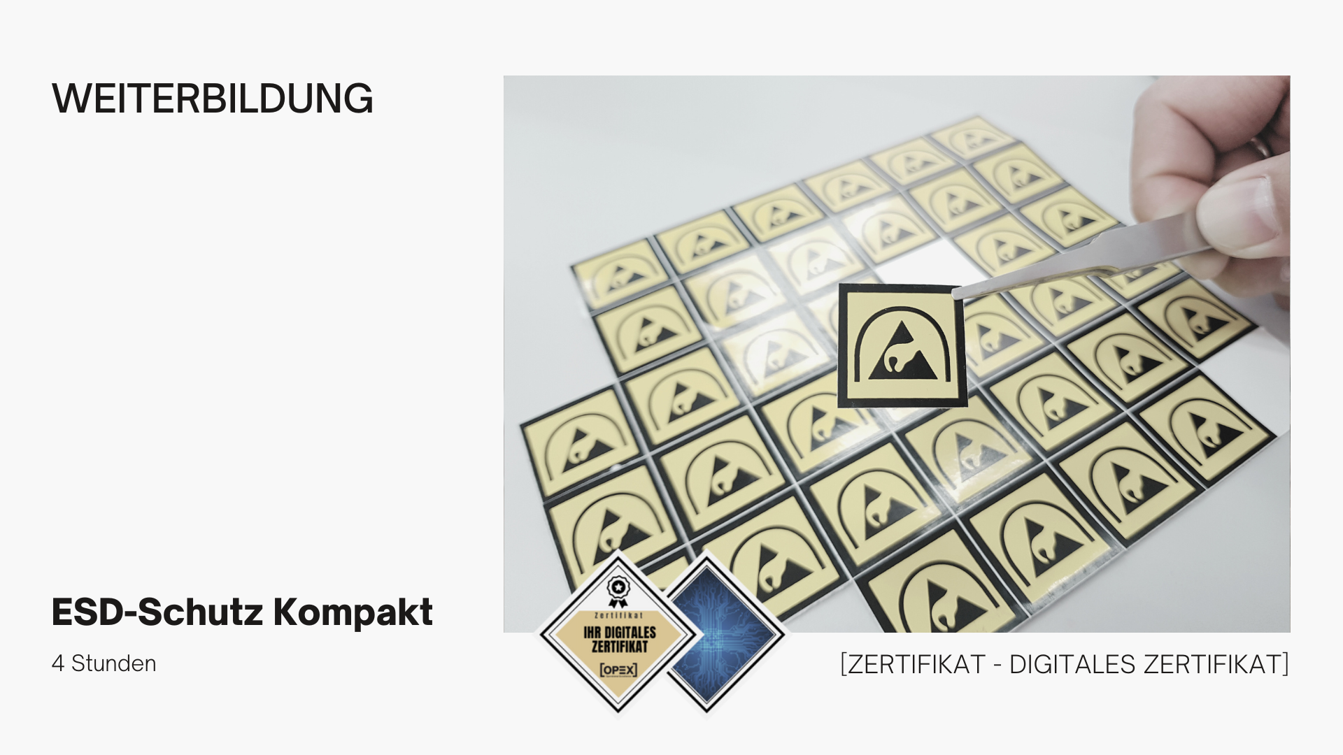 ESD-Schutz Kompakt Webinar 1 ESD-Schutz Kompakt