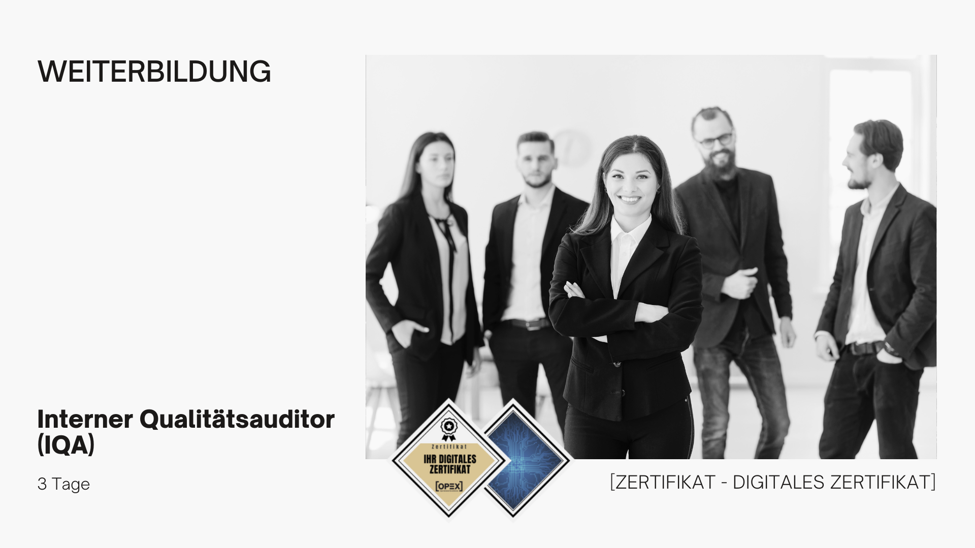 Interner Qualitätsauditor (IQA) Ausbildung | Weiterbildung | Seminar 1 Interner Qualitätsauditor Webinar