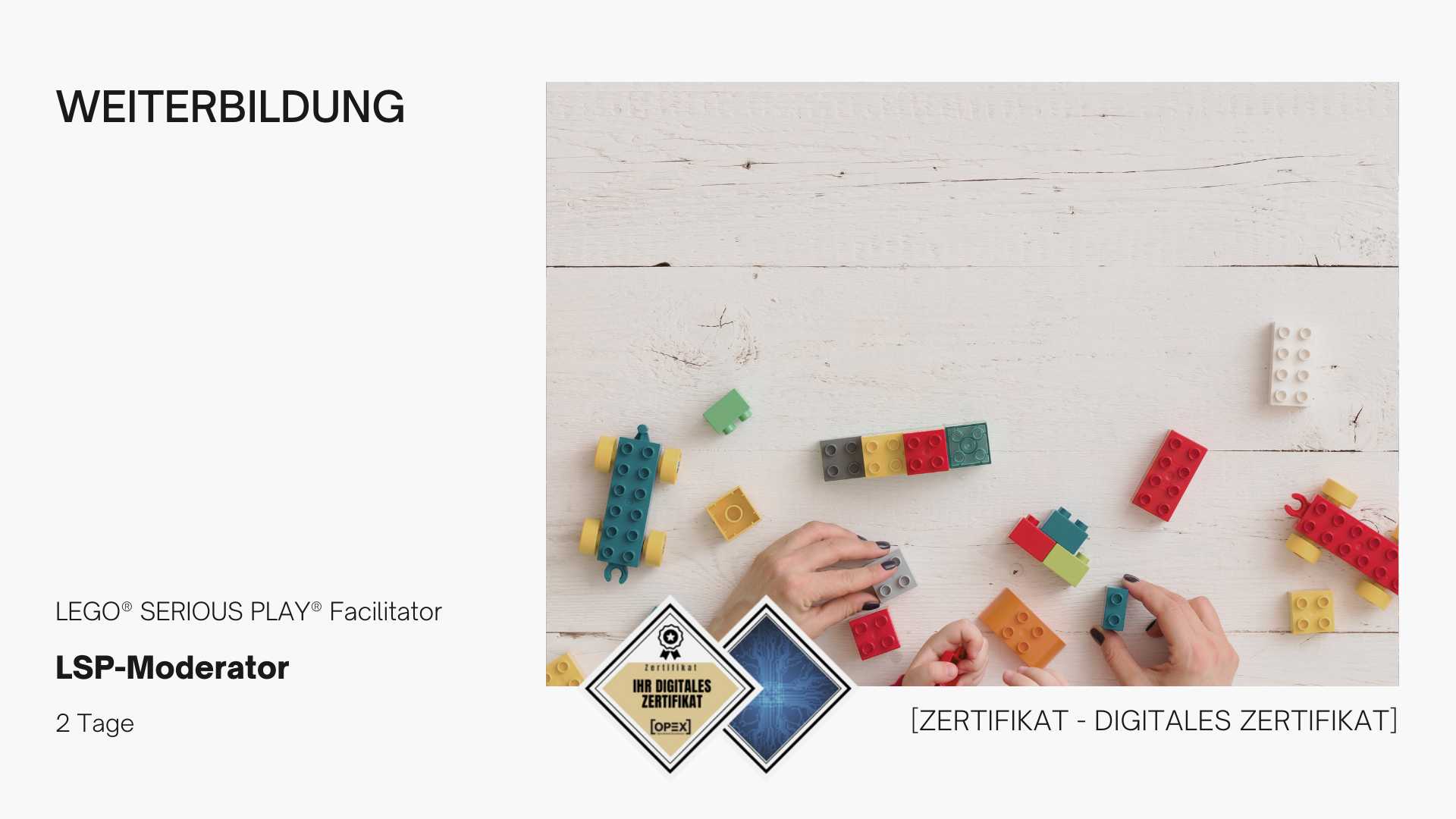 LEGO® SERIOUS PLAY® Facilitator Workshop | Seminar | Schulung 1 LSP-Moderator
