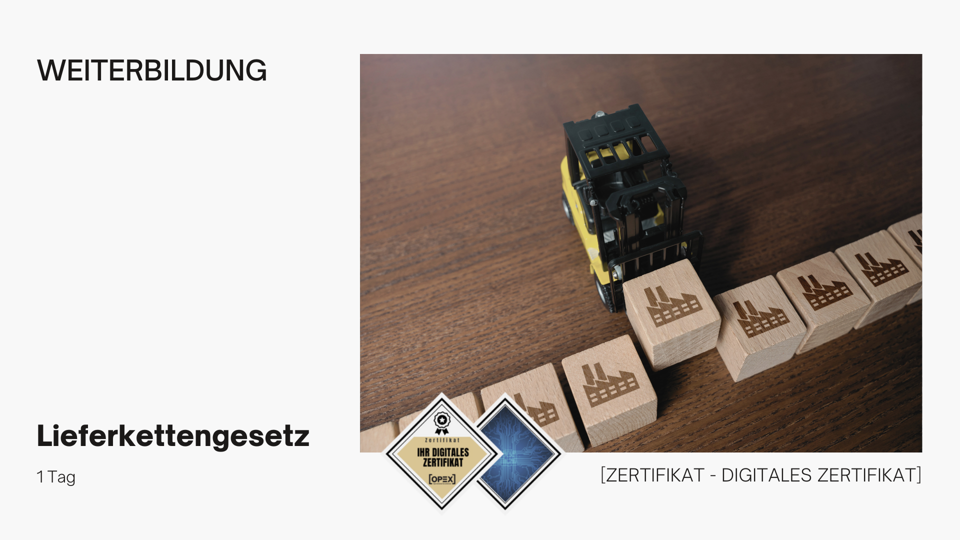 Sorgfaltspflichtengesetz – Das neue Lieferkettengesetz | Seminar 1 Lieferkettengesetz