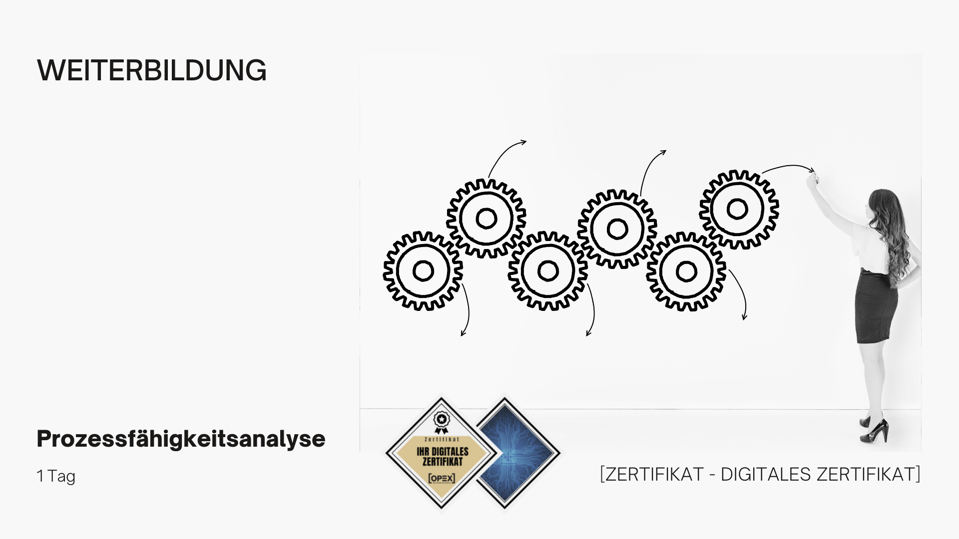 Prozessfähigkeitsanalyse Seminar / Training / Schulung 1 Prozessfähigkeitsanalyse