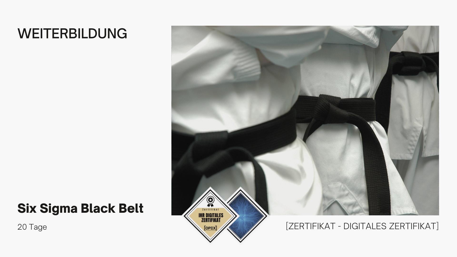 Six Sigma Black Belt Training Ausbildung (20 Tage) 1 Six Sigma Black Belt