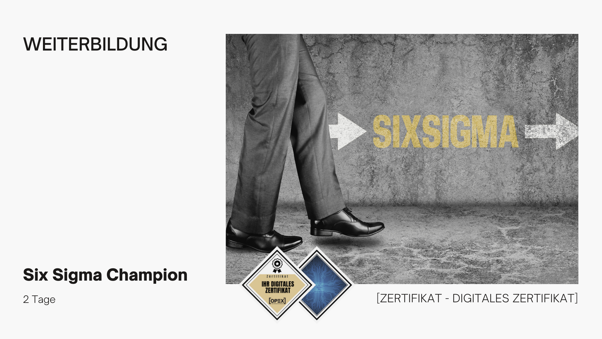Six Sigma Champion / Championstraining 1 Six Sigma Champion