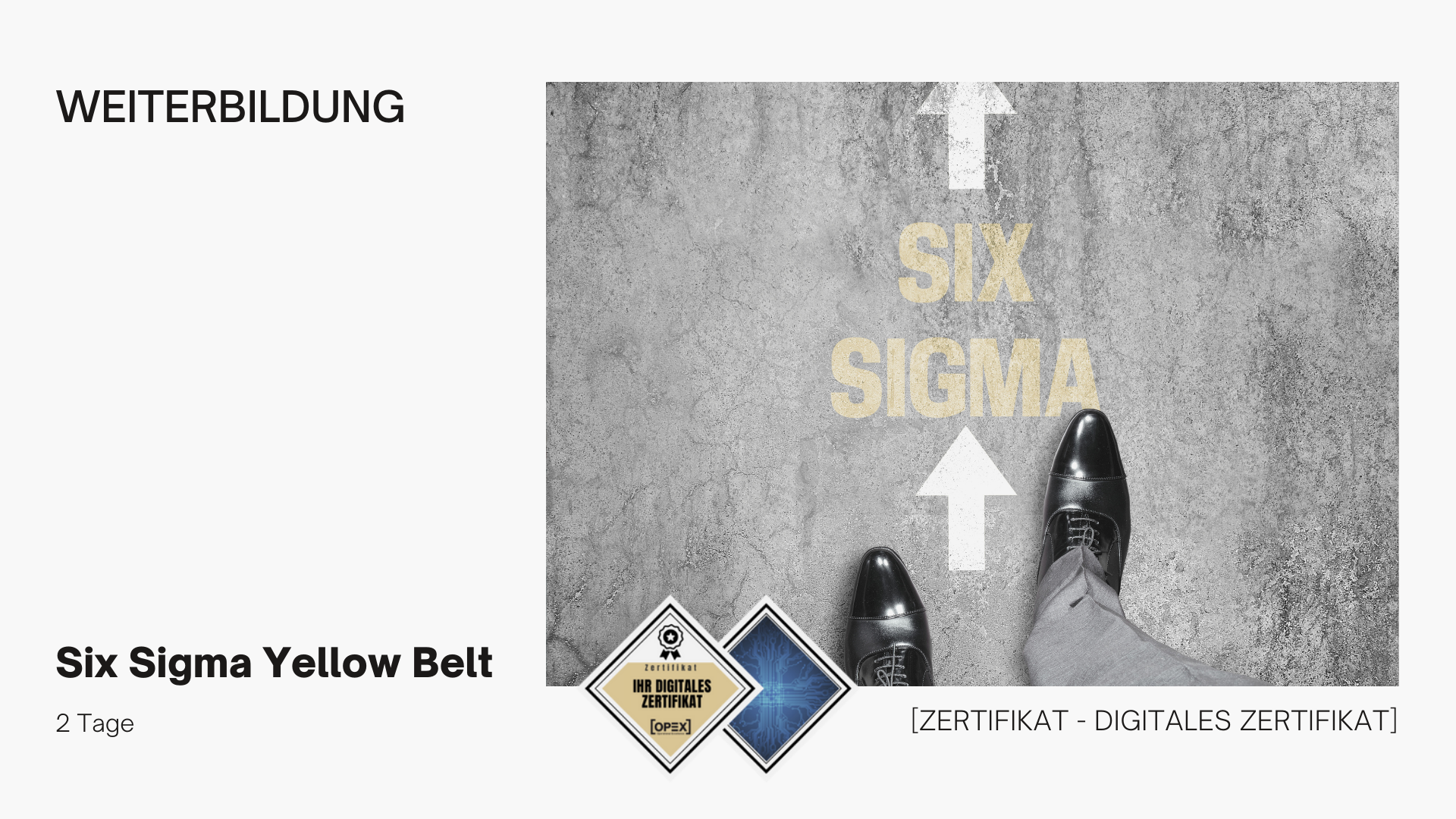 Six Sigma Yellow Belt Training | Seminar | Ausbildung 1 Six Sigma Yellow Belt