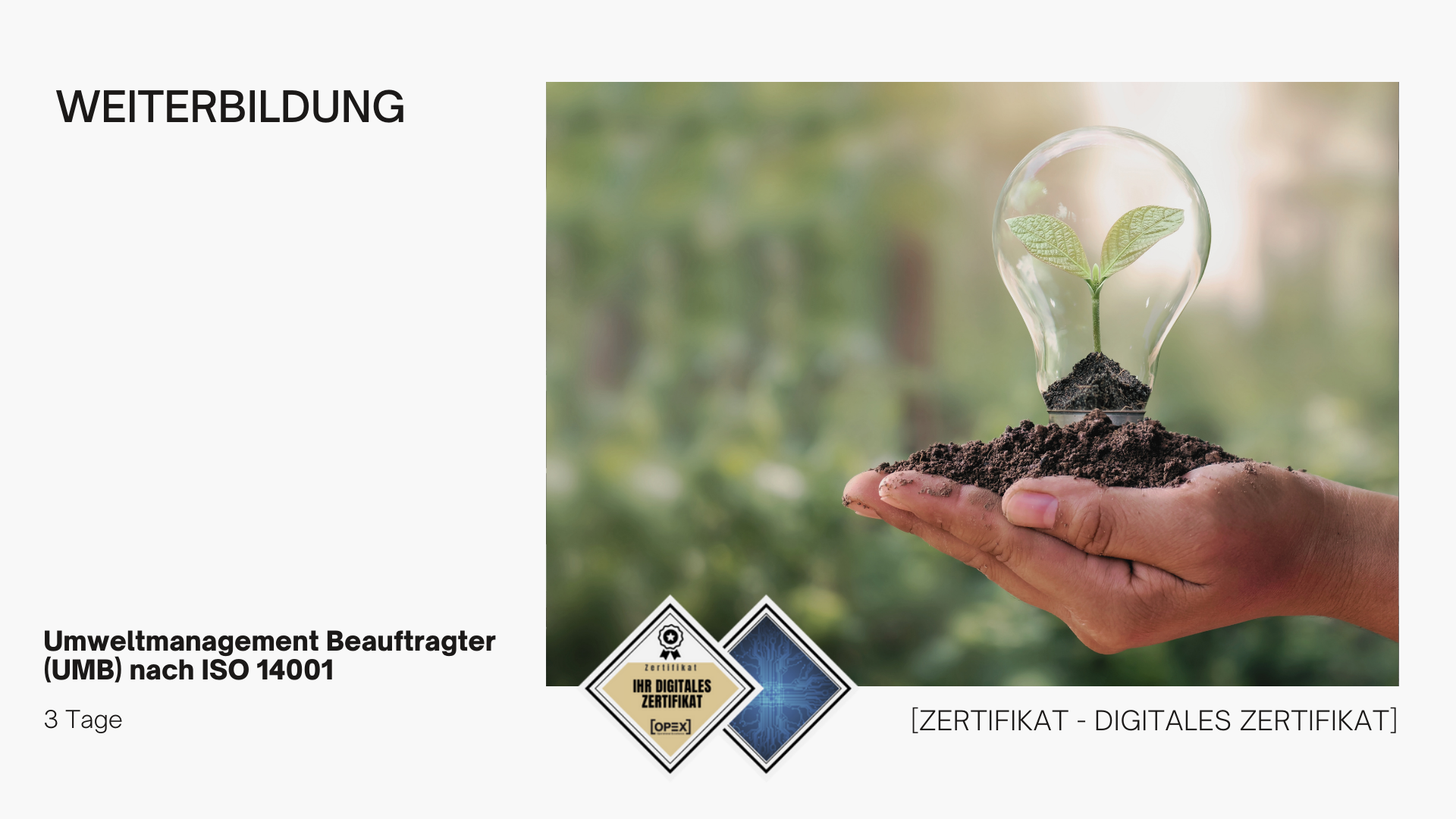 Umweltmanagement Beauftragter (UMB) nach ISO 14001
