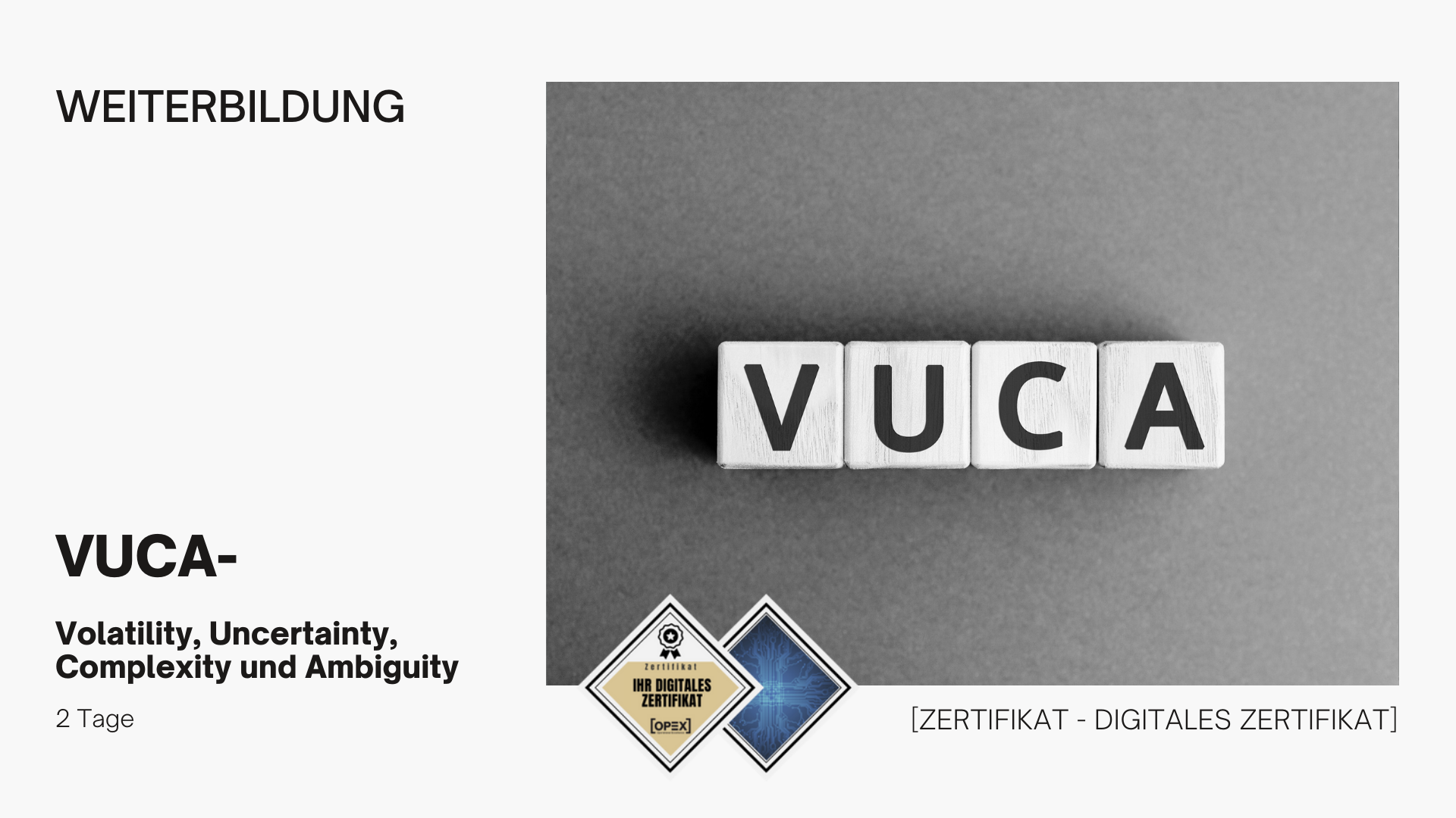 VUCA | Seminar | Schulung | Training 1 VUCA