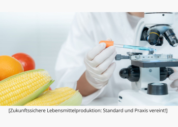 lebensmittelproduktion