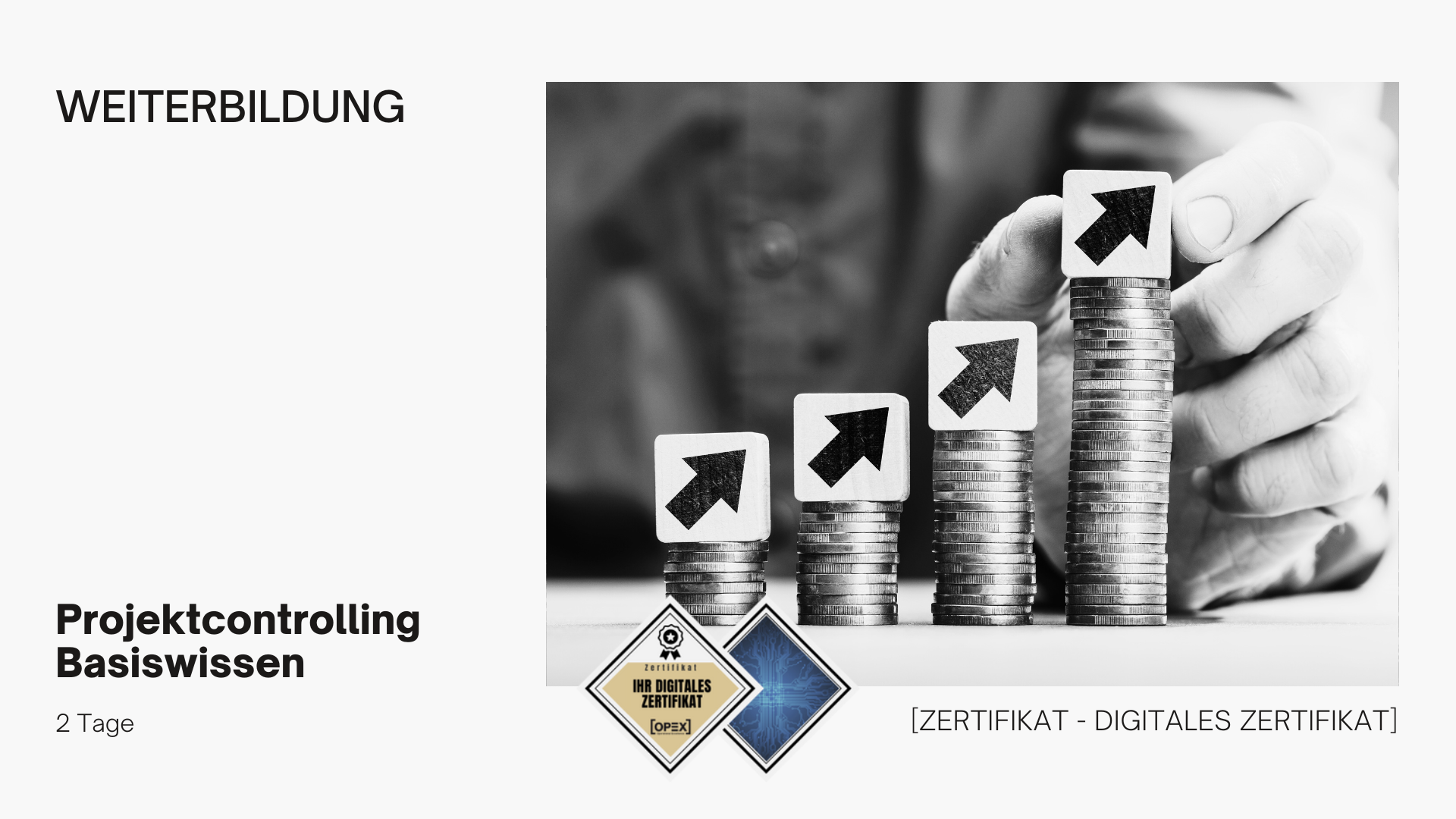 Projektcontrolling Basiswissen Seminar | Schulung | Training 1 Projektcontrolling