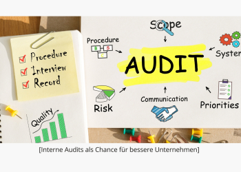Interner Auditor